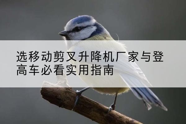 那曲电动升降机厂家-选移动剪叉升降机厂家与登高车必看实用指南