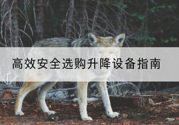 那曲升降货梯厂家推荐-*安全选购升降设备指南